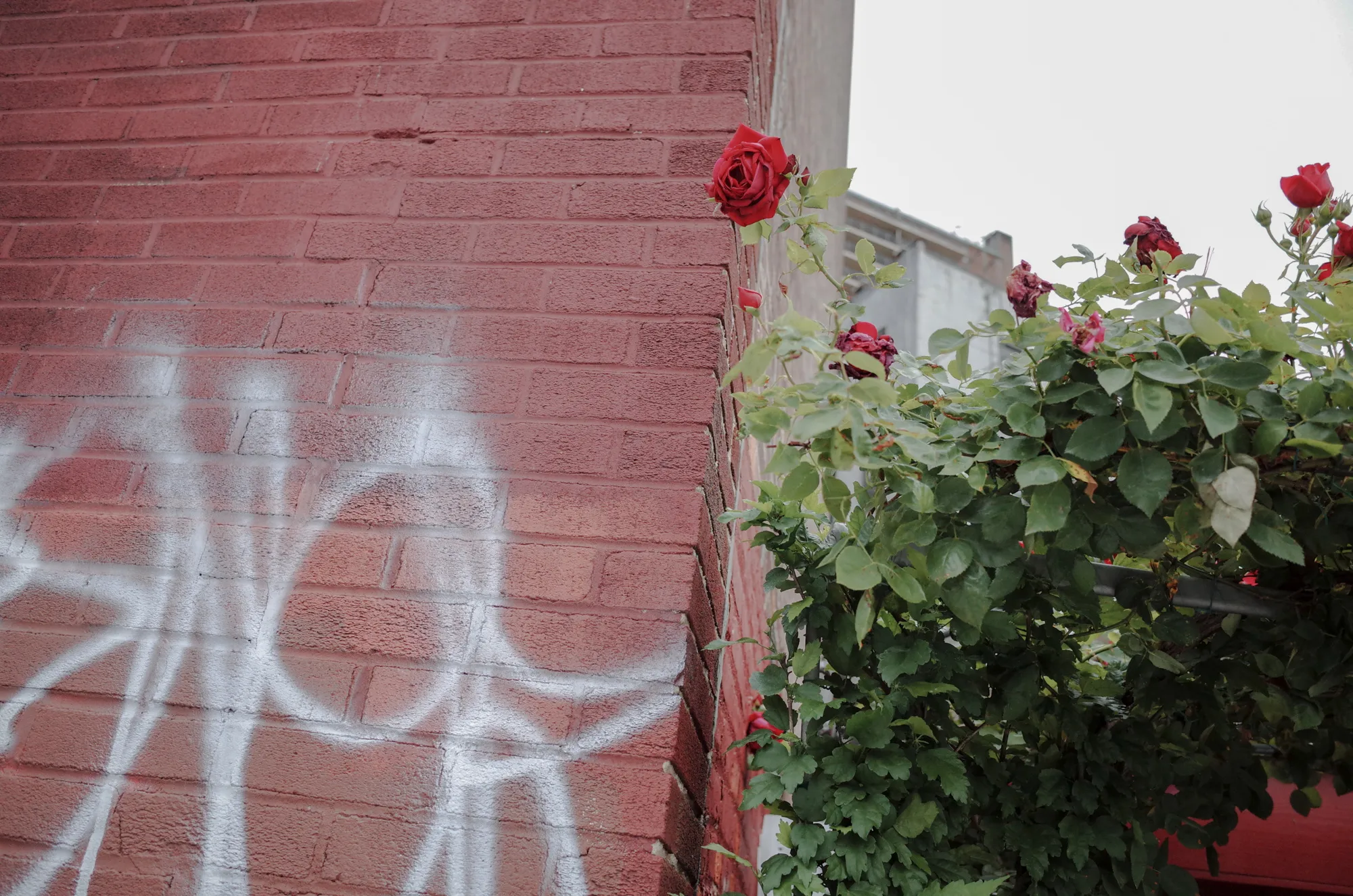Personal Projects/Street photography by Nicholas Pappas Photo